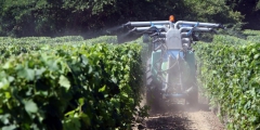 viticulture,bio,pesticides,gironde,manifestation,inauguration,cité du vin,bordeaux