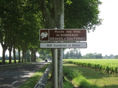 route des vins.jpg