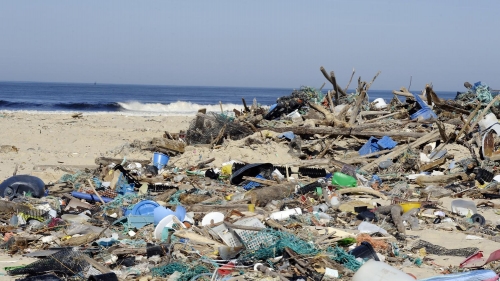 pollution,plastique,méditerranée,wwf,rapport,journée mondiale de l'océan