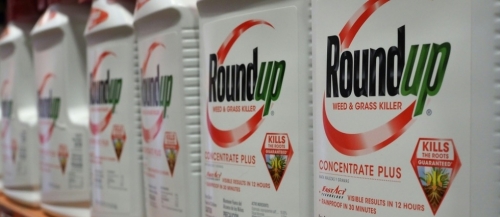 Des bouteilles du désherbant Roundup de Monsanto en vente dans un magasin de Glendale (Californie), le 19 juin 2018 1/5 © AFP, Robyn Beck
