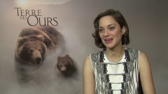 documentaire,ours,dvd,cotillard
