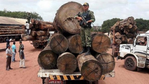 déforestation brésil afp.jpg