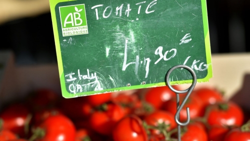 tomates bio afp.jpg