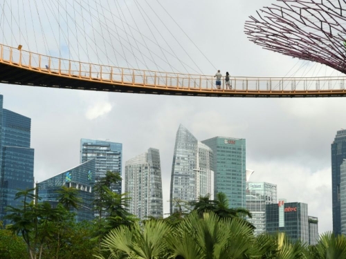 ville,singapour,jardins