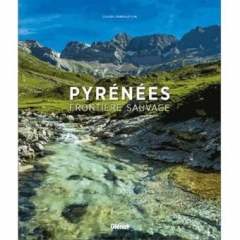 Pyrenees-frontiere-sauvage.jpg
