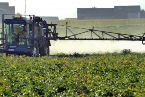 pesticides,maladie,danger,étude,rapport,greenpeace