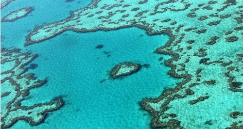 grande barrière corail australie.jpg