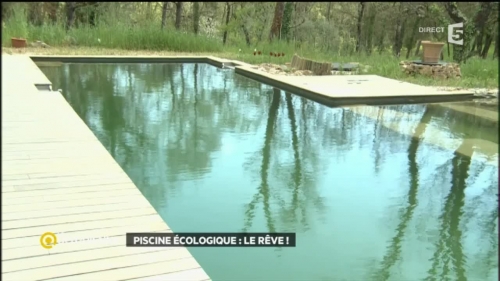 piscine écologique,naturelle
