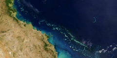 barrière de corail,industrialisation,dégratation,australie,wwf,polémique,préservation
