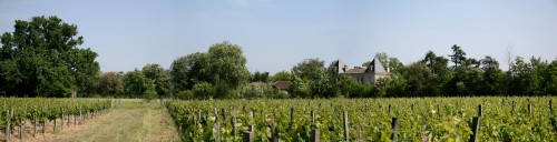 viticulture,réglementation européenne,agriculture biologique
